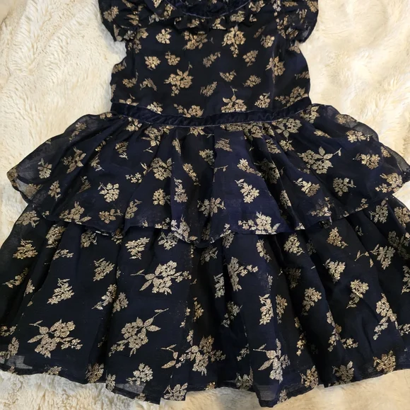 Janie and Jack Girl Dark Marine Glitter Floral Chiffon Dress - Picture 6 of 9